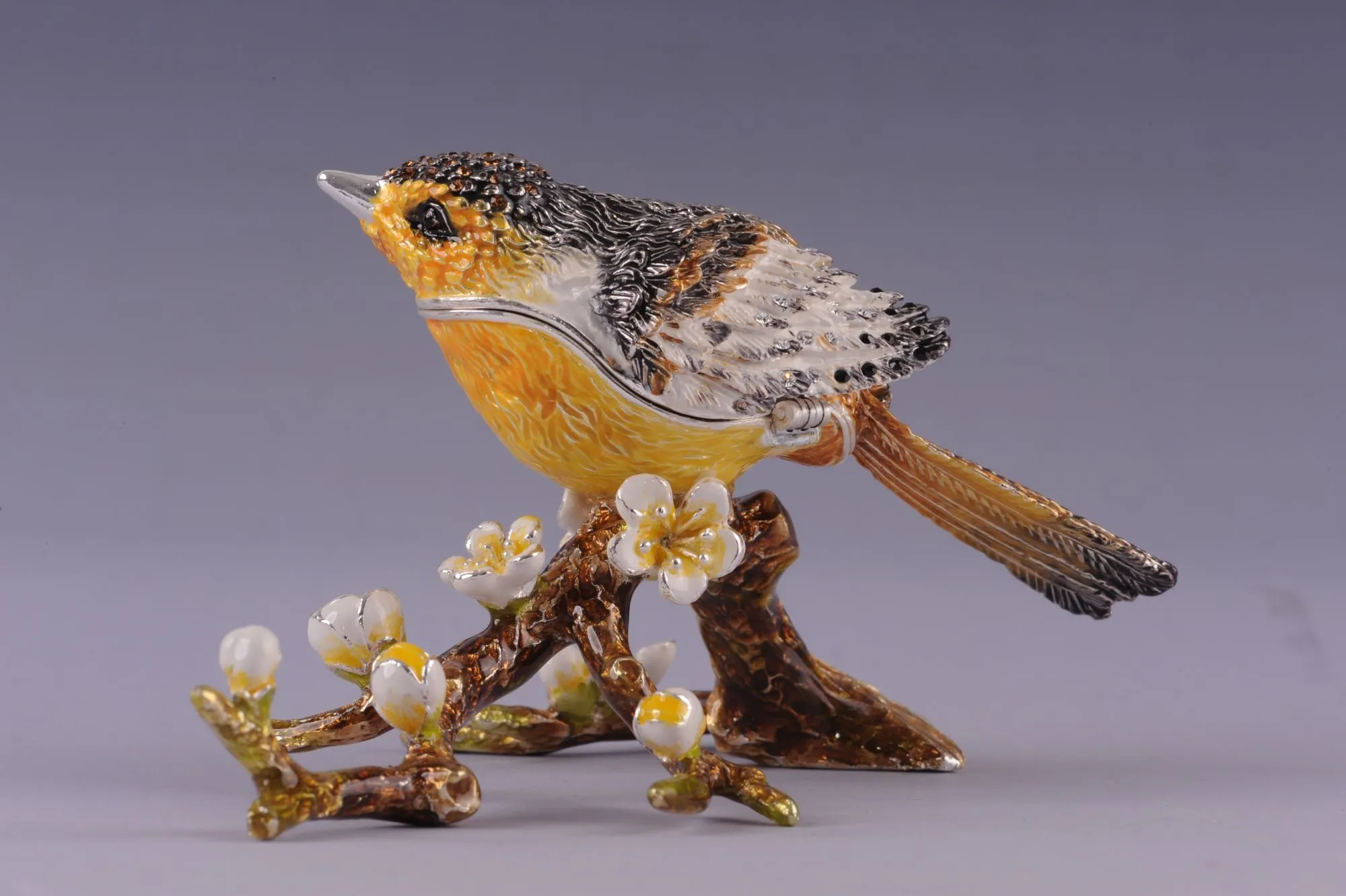 Black & Yellow Bird on a Branch