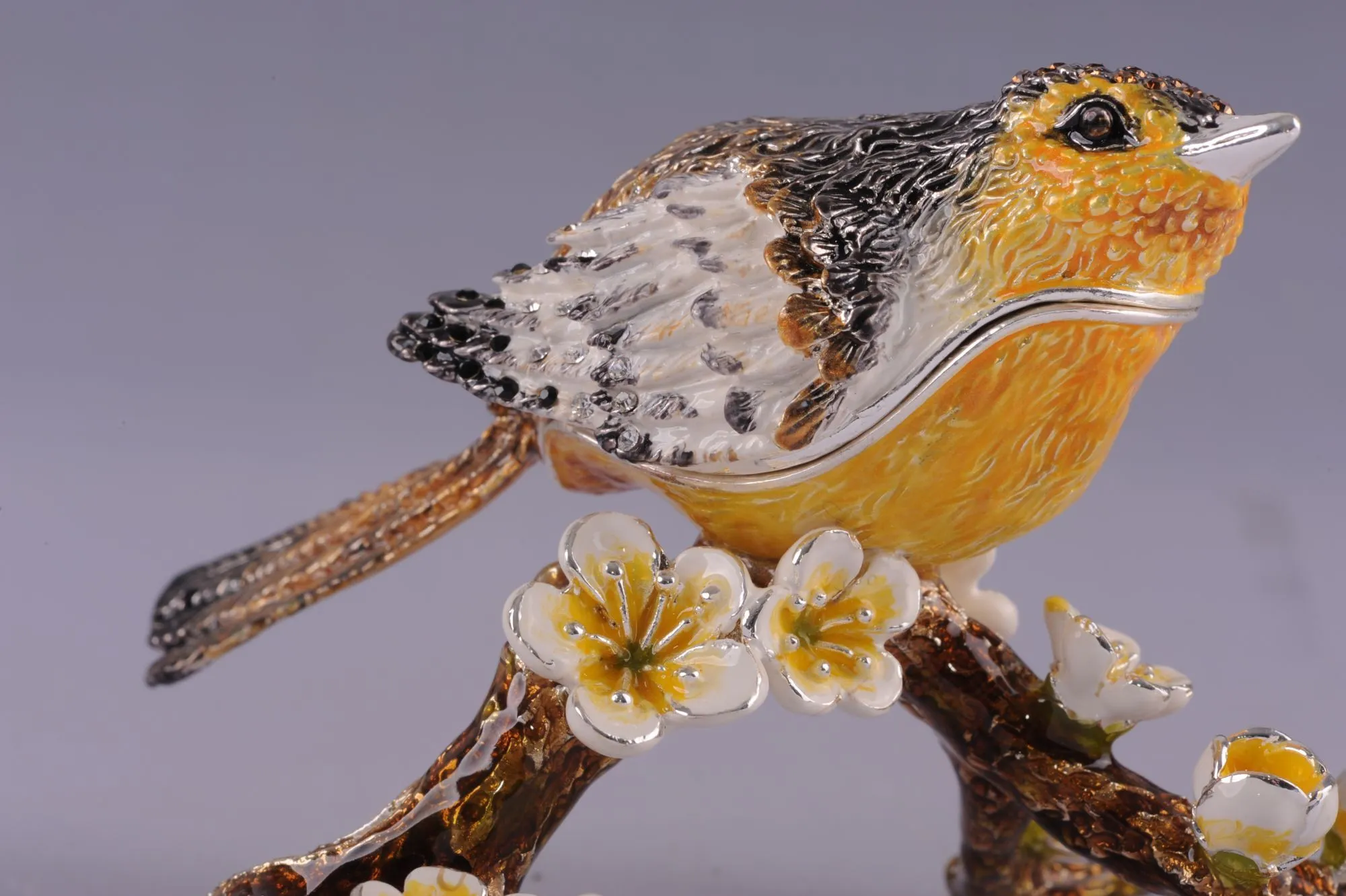 Black & Yellow Bird on a Branch