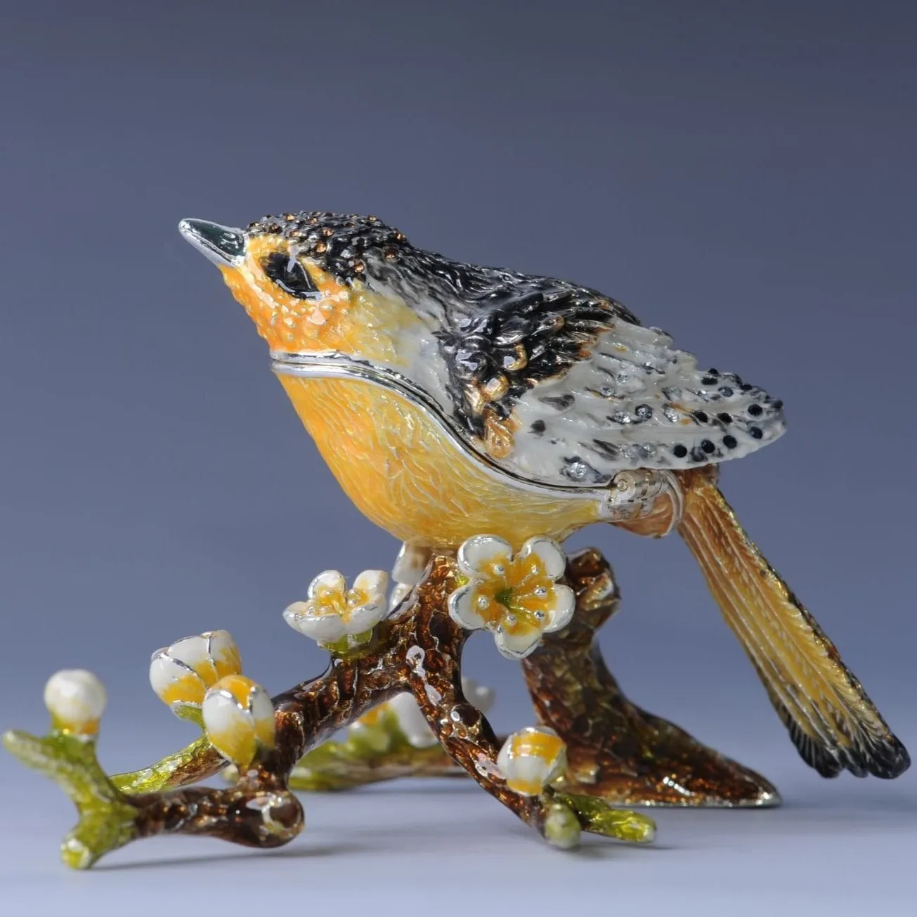 Black & Yellow Bird on a Branch