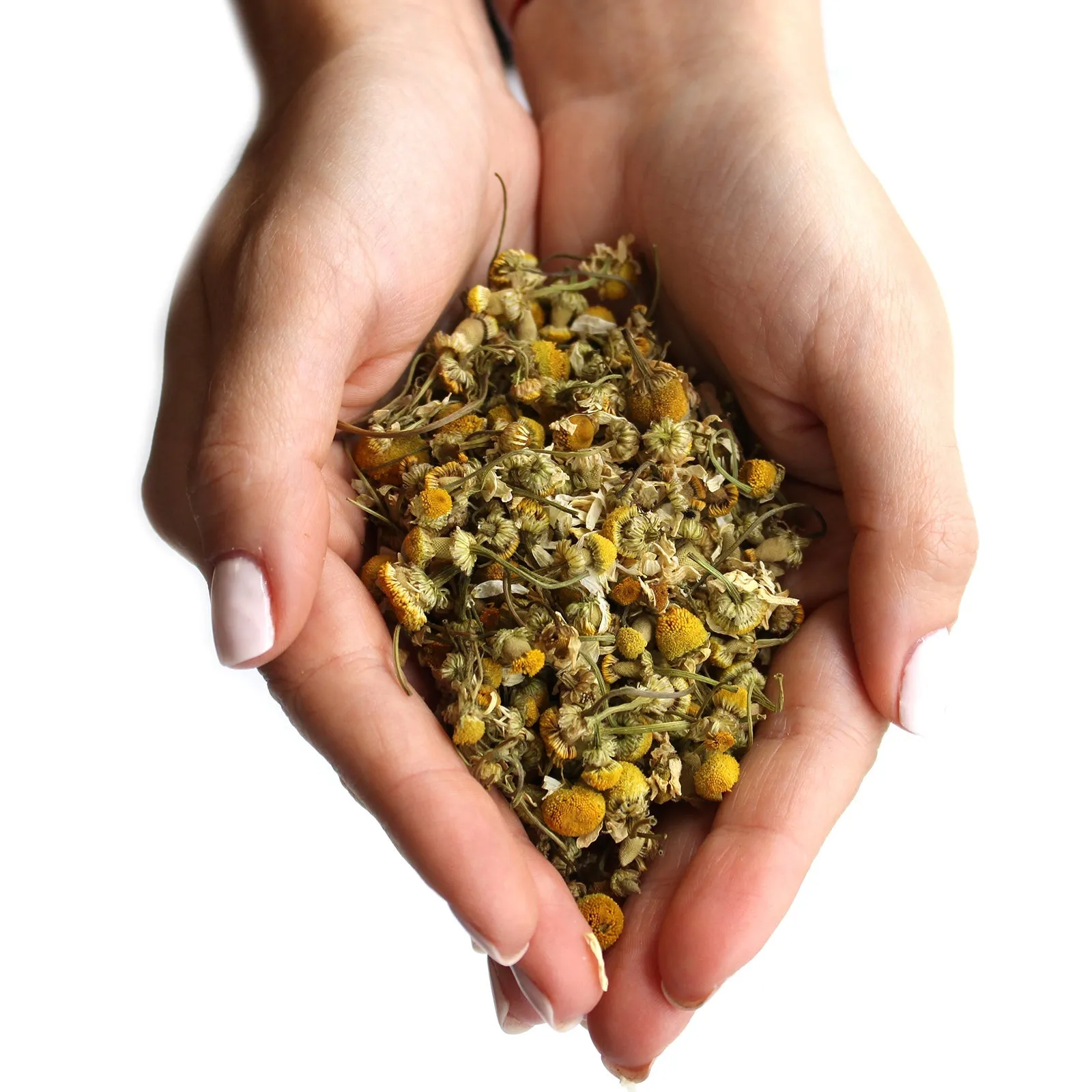 Chamomile Heads Dried Flowers (1kg)