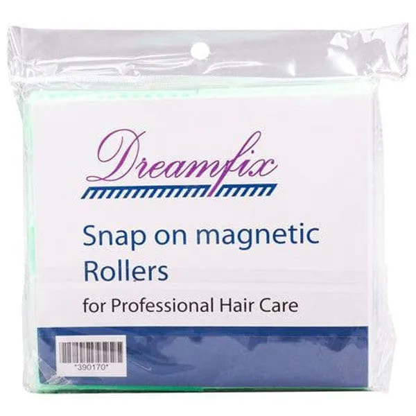 DreamFix Snap On magnetic Rollers