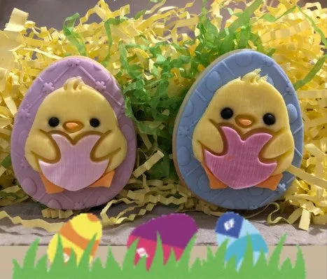 Egg & Daisy Background Fondant Debosser