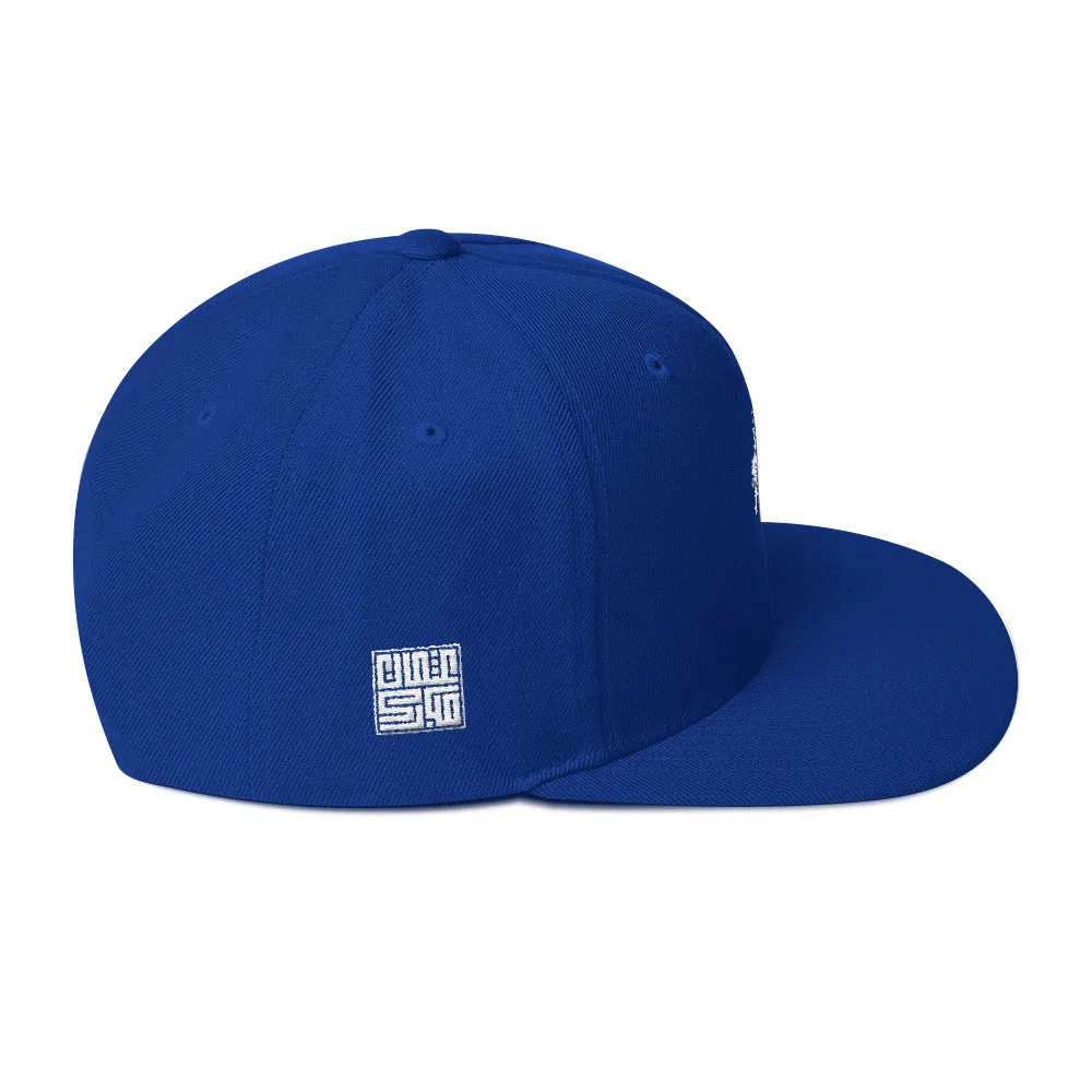 Embroidered Lion Snapback Hat