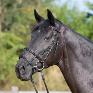 Kieffer Ultrasoft® Combo Snaffle Bridle