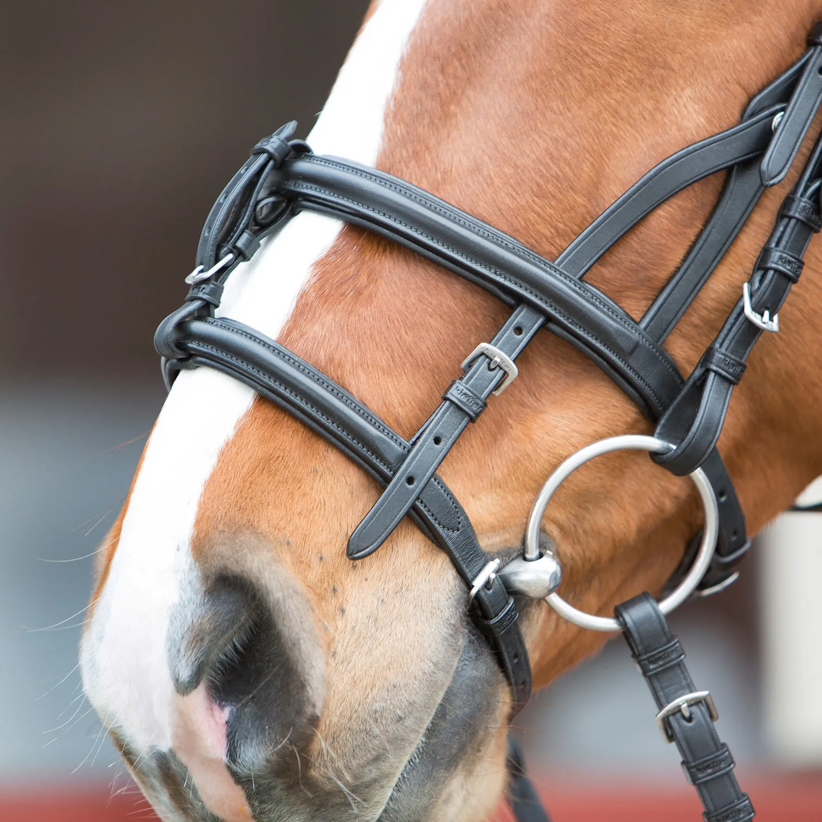 Kieffer Ultrasoft® Combo Snaffle Bridle