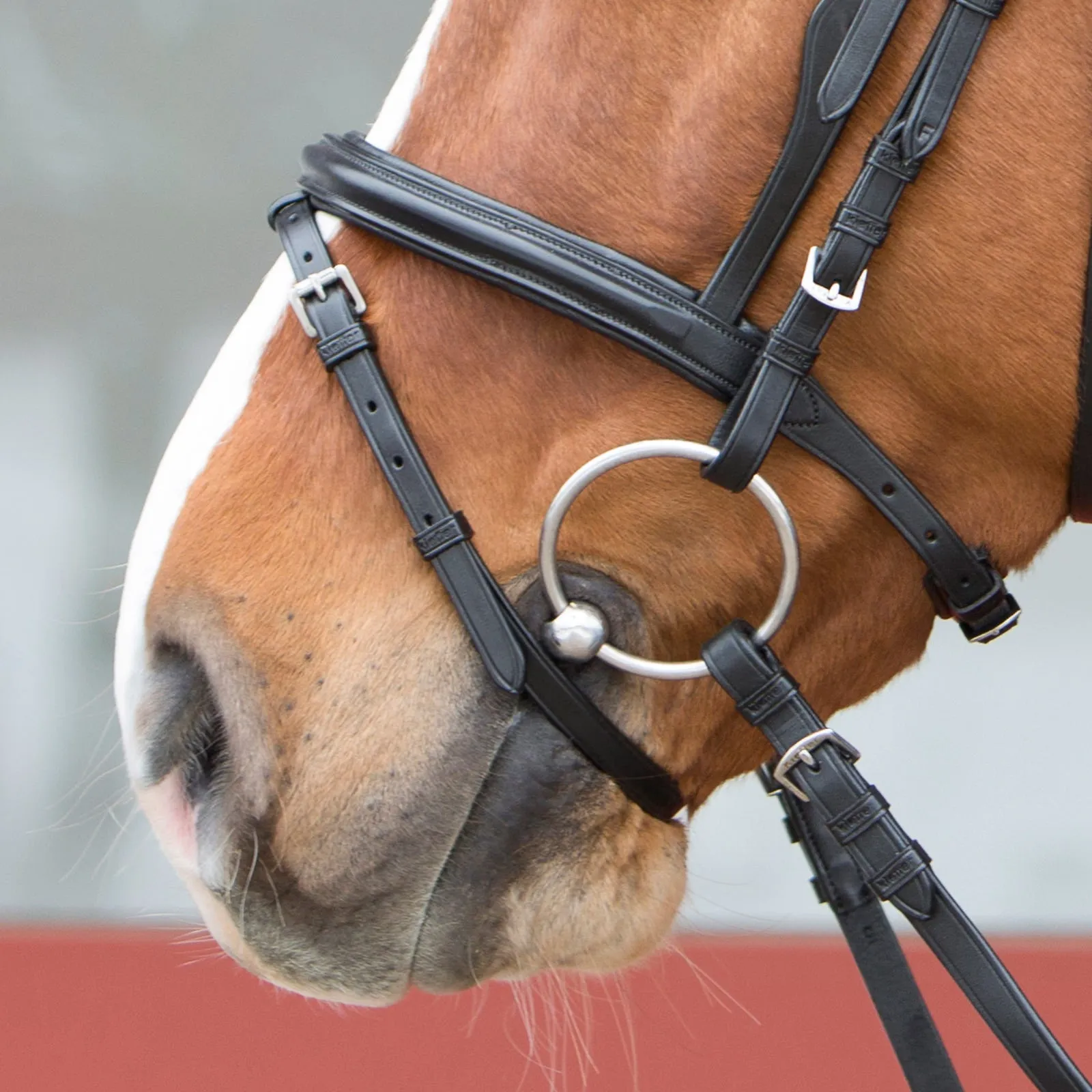 Kieffer Ultrasoft® Combo Snaffle Bridle