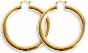 Large All Day Hoops
