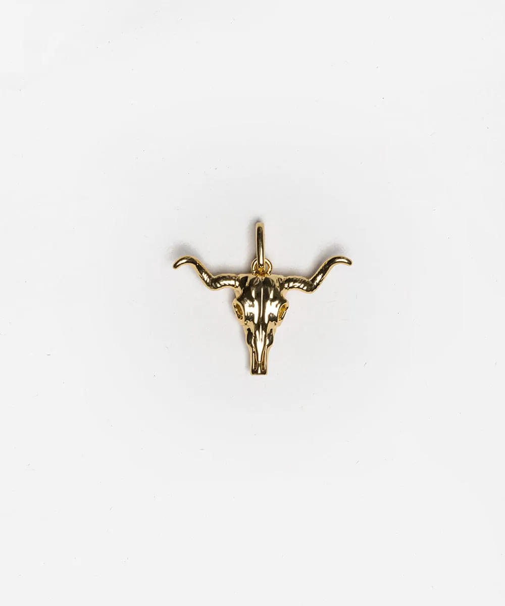 Longhorn Hat Charm
