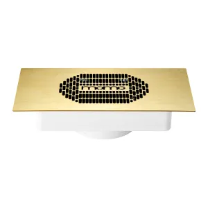 Momo S-41 Built-In Dust Absorber Gold
