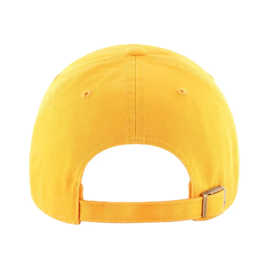 Return on Investment (ROI) Hat