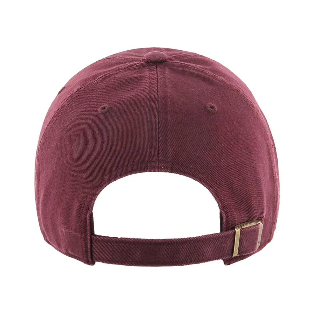 Return on Investment (ROI) Hat