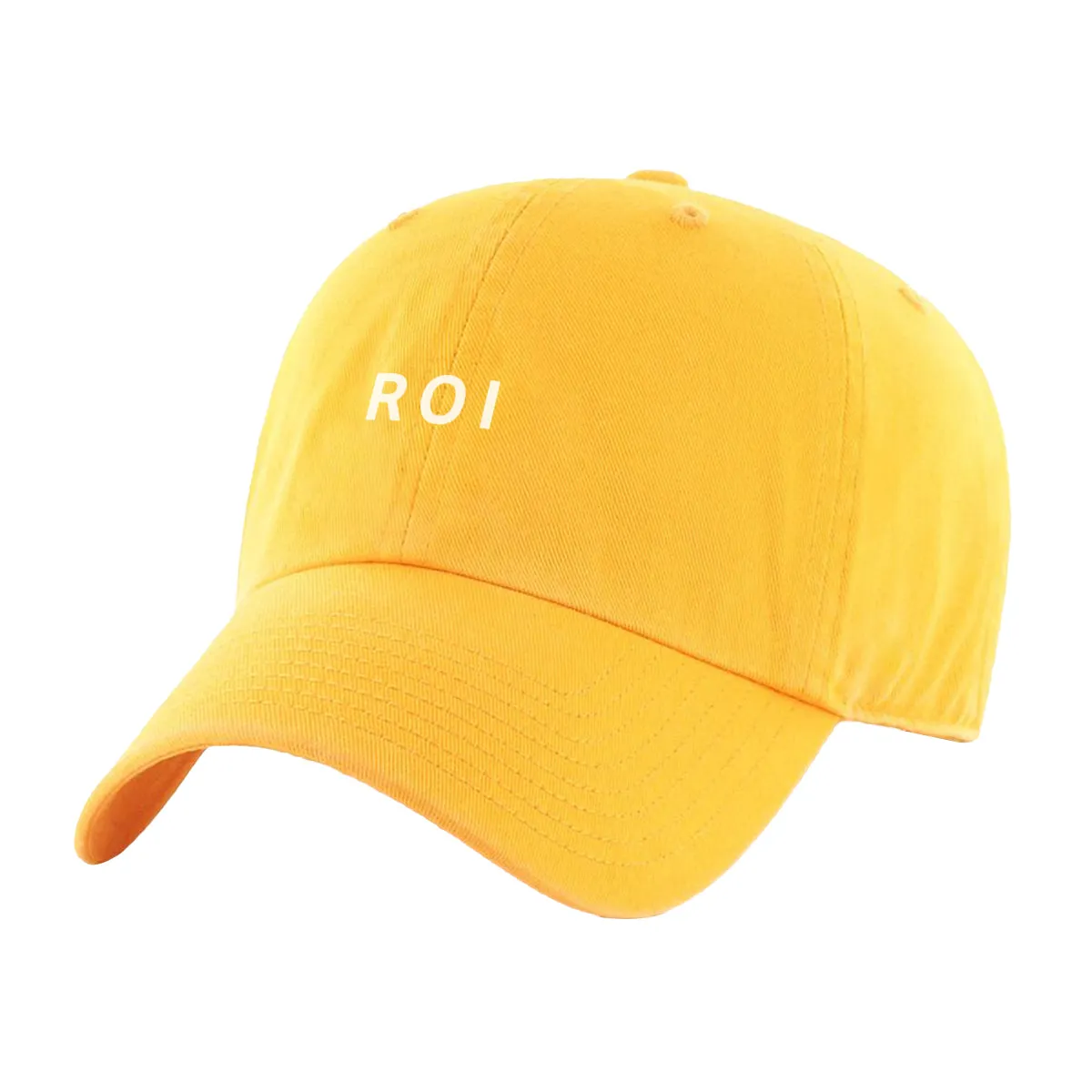 Return on Investment (ROI) Hat
