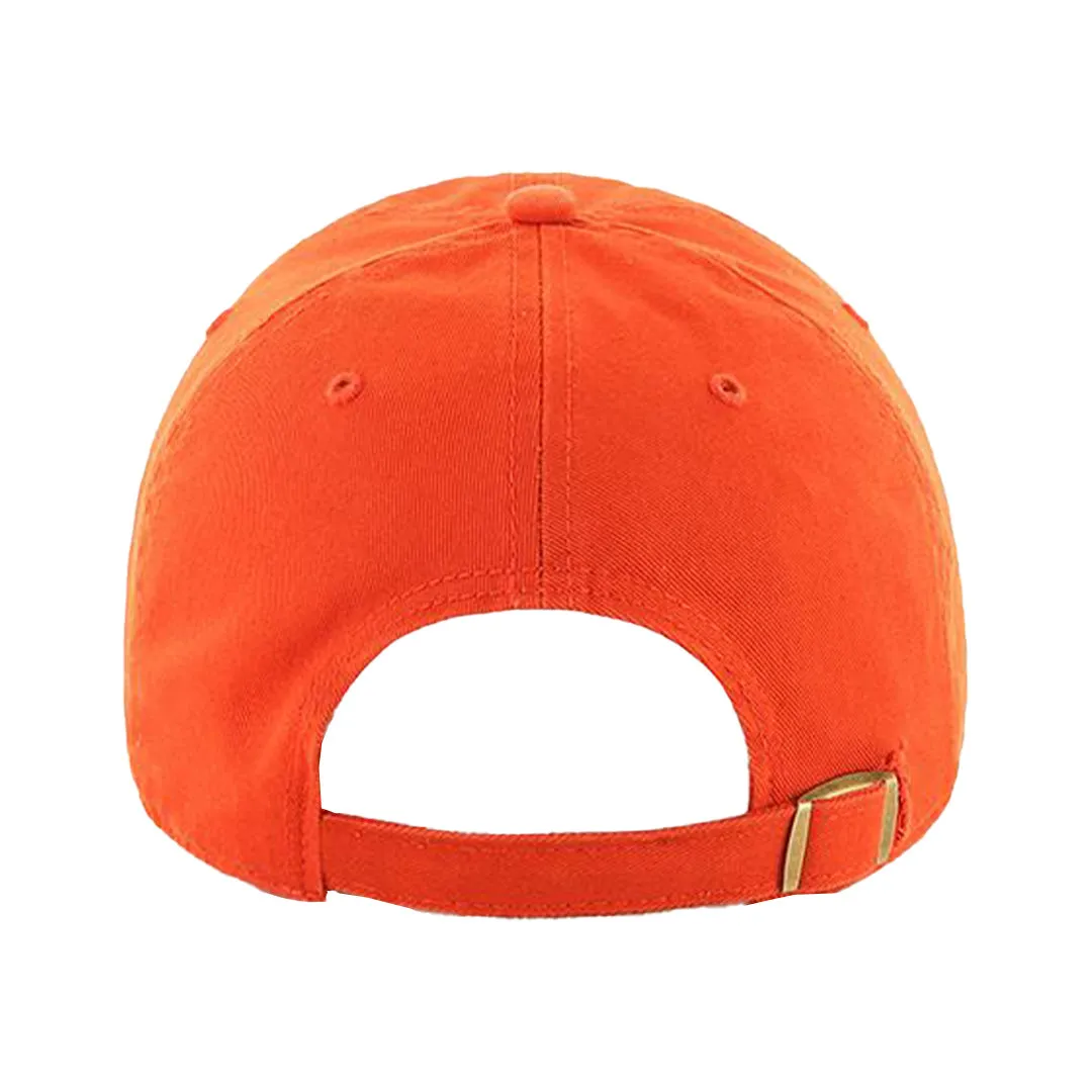 Return on Investment (ROI) Hat