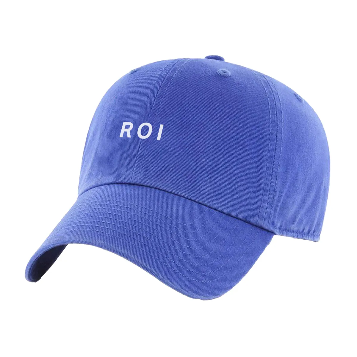 Return on Investment (ROI) Hat