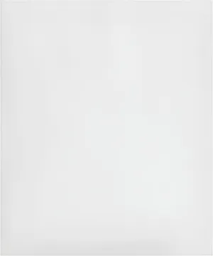 RiteSource - 8 x 12", 2 Mil Clear Poly Bag, 2000/Cs - 030669