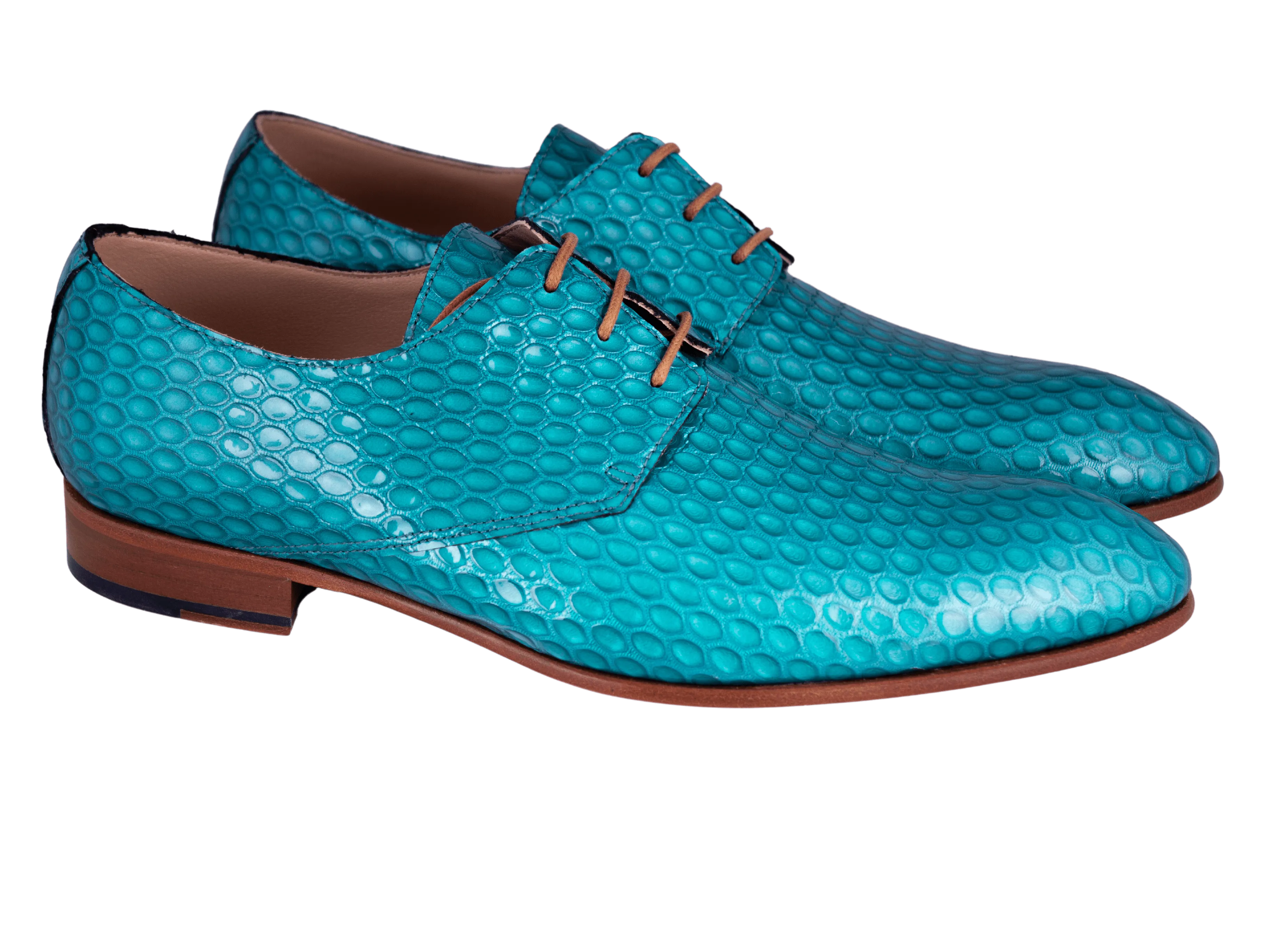 Turquoise Rider