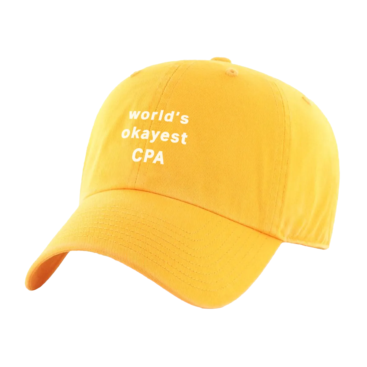 World's Okayest CPA Hat